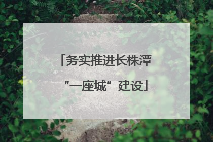 务实推进长株潭“一座城”建设