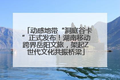 动感地带“洞庭谷卡”正式发布！湖南移动跨界岳阳文旅，架起Z世代文化共振桥梁