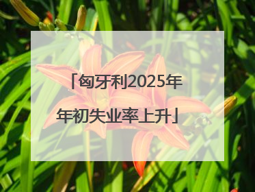 匈牙利2025年年初失业率上升