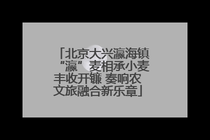 北京大兴瀛海镇“瀛”麦相承小麦丰收开镰 奏响农文旅融合新乐章
