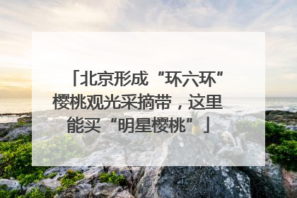 北京形成“环六环”樱桃观光采摘带，这里能买“明星樱桃”