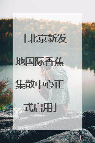 北京新发地国际香蕉集散中心正式启用