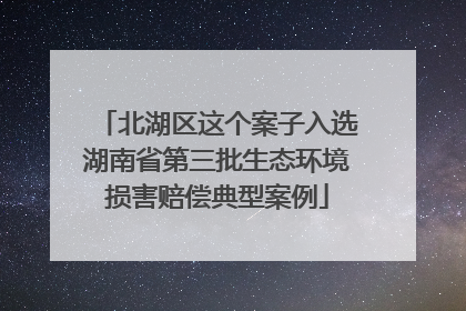 北湖区这个案子入选湖南省第三批生态环境损害赔偿典型案例
