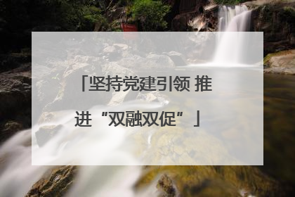 坚持党建引领 推进“双融双促”
