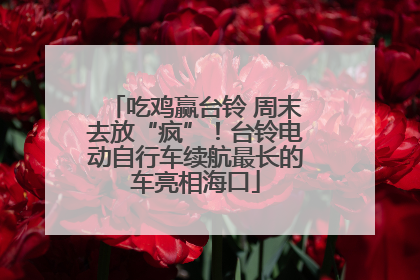 吃鸡赢台铃 周末去放“疯”！台铃电动自行车续航最长的车亮相海口