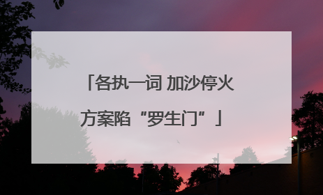 各执一词 加沙停火方案陷“罗生门”
