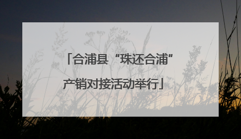 合浦县“珠还合浦”产销对接活动举行