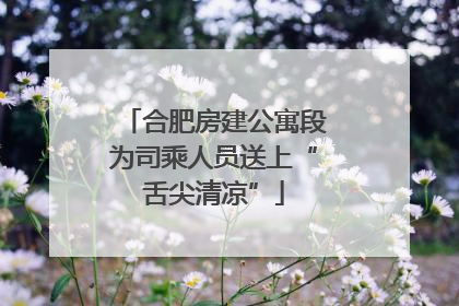 合肥房建公寓段为司乘人员送上“舌尖清凉”