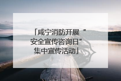 咸宁消防开展“安全宣传咨询日”集中宣传活动