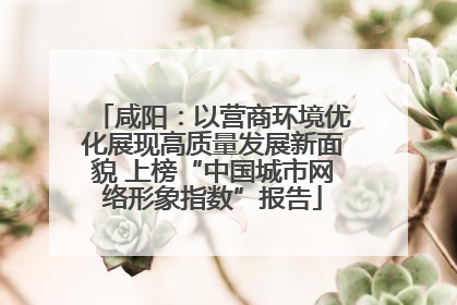 咸阳：以营商环境优化展现高质量发展新面貌 上榜“中国城市网络形象指数”报告