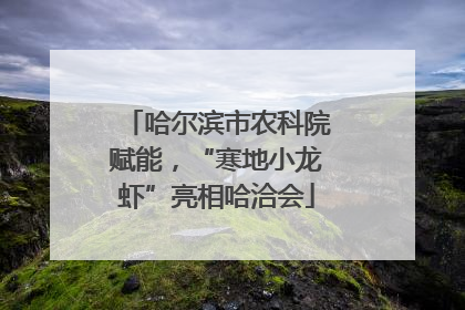 哈尔滨市农科院赋能，“寒地小龙虾”亮相哈洽会