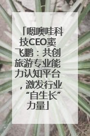 嗯噢哇科技CEO窦飞鹏：共创旅游专业能力认知平台，激发行业“自生长”力量
