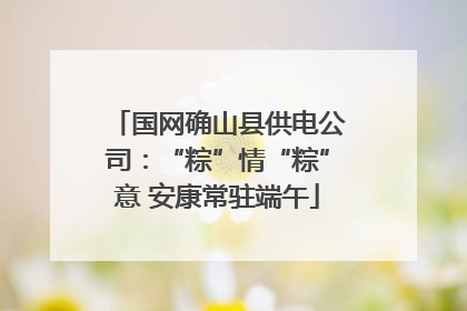 国网确山县供电公司：“粽”情“粽”意 安康常驻端午