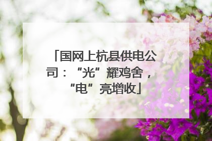 国网上杭县供电公司：“光”耀鸡舍，“电”亮增收