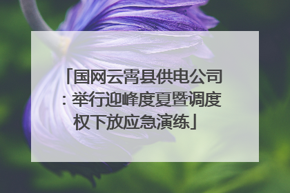 国网云霄县供电公司：举行迎峰度夏暨调度权下放应急演练