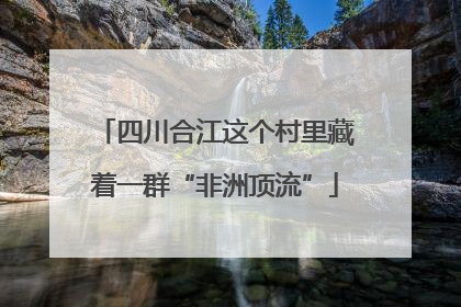 四川合江这个村里藏着一群“非洲顶流”