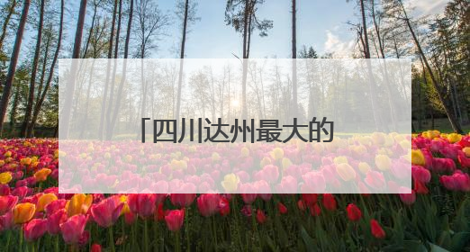 四川达州最大的蛋鸡养殖场在普光镇建成投产