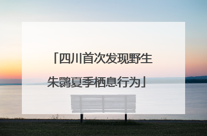 四川首次发现野生朱鹮夏季栖息行为
