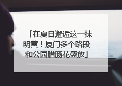 在夏日邂逅这一抹明黄！厦门多个路段和公园腊肠花盛放