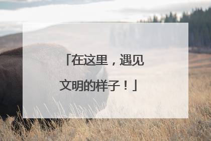 在这里，遇见文明的样子！