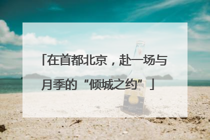 在首都北京，赴一场与月季的“倾城之约”