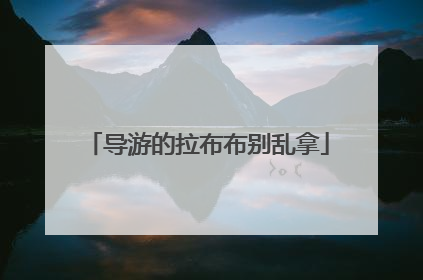 导游的拉布布别乱拿