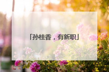 孙桂香，有新职