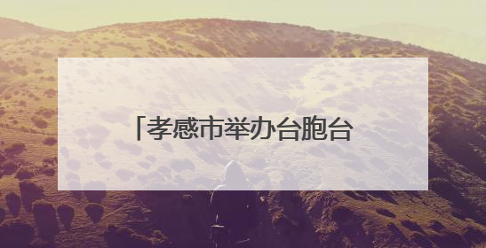 孝感市举办台胞台属端午联谊暨“美丽孝感行”活动