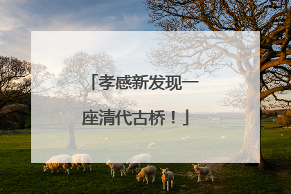 孝感新发现一座清代古桥!