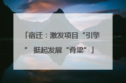 宿迁：激发项目“引擎” 挺起发展“脊梁”