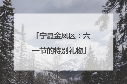 宁夏金凤区：六一节的特别礼物