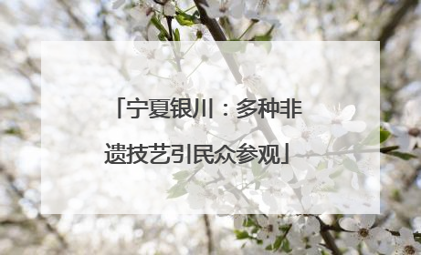 宁夏银川：多种非遗技艺引民众参观