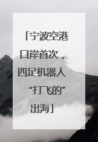 宁波空港口岸首次，四足机器人“打飞的”出海