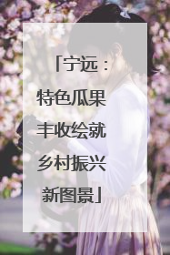 宁远：特色瓜果丰收绘就乡村振兴新图景