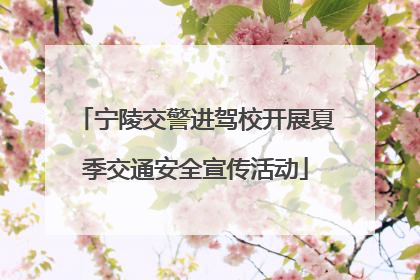 宁陵交警进驾校开展夏季交通安全宣传活动