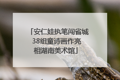 安仁娃执笔闯省城 38组童诗画作亮相湖南美术馆