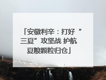 安徽利辛：打好“三夏”攻坚战 护航夏粮颗粒归仓