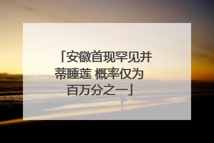 安徽首现罕见并蒂睡莲 概率仅为百万分之一
