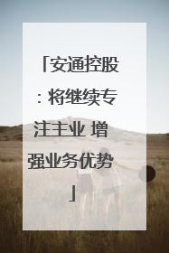 安通控股：将继续专注主业 增强业务优势