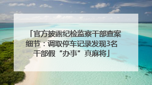 官方披露纪检监察干部查案细节：调取停车记录发现3名干部假“办事”真麻将