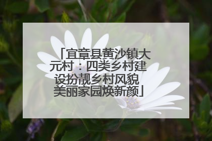 宜章县黄沙镇大元村：四类乡村建设扮靓乡村风貌 美丽家园焕新颜