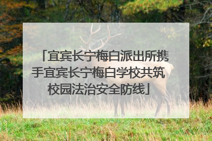 宜宾长宁梅白派出所携手宜宾长宁梅白学校共筑校园法治安全防线