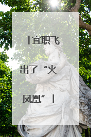 宜职飞出了“火凤凰”