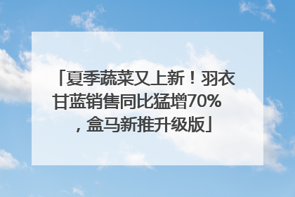 夏季蔬菜又上新！羽衣甘蓝销售同比猛增70%，盒马新推升级版