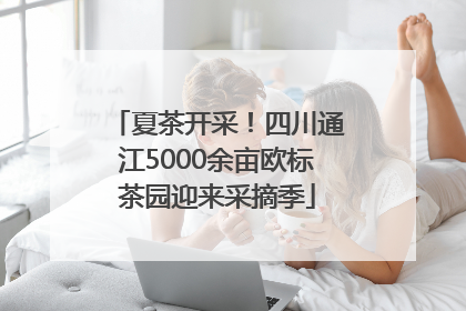 夏茶开采！四川通江5000余亩欧标茶园迎来采摘季