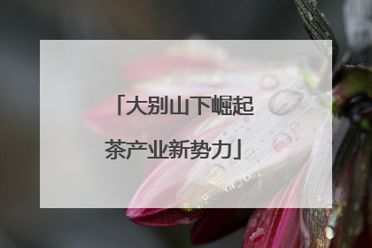 大别山下崛起茶产业新势力