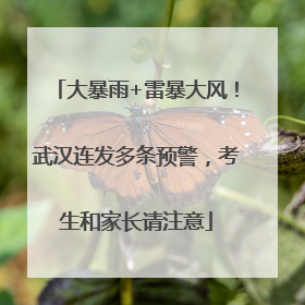 大暴雨+雷暴大风！武汉连发多条预警，考生和家长请注意
