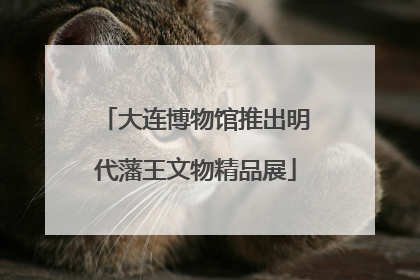 大连博物馆推出明代藩王文物精品展