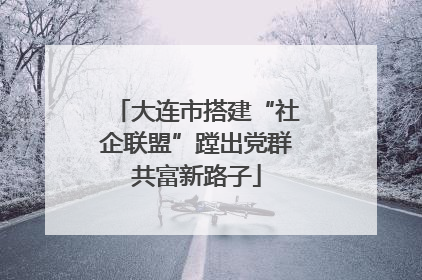 大连市搭建“社企联盟”蹚出党群共富新路子