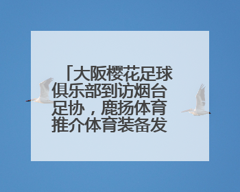 大阪樱花足球俱乐部到访烟台足协，鹿扬体育推介体育装备发展情况